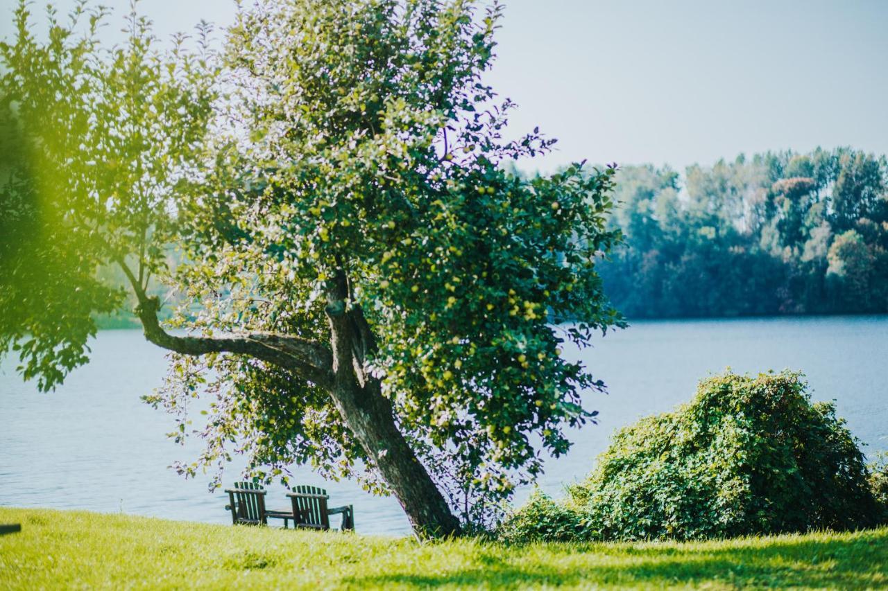 Kempings Kalnavoti Koknese Buitenkant foto